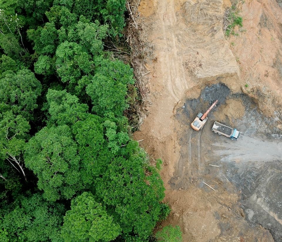 Ethical breakfast cereal, deforestation