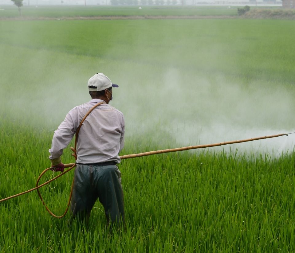Pesticides in bread crops