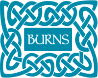 How ethical is Burns?