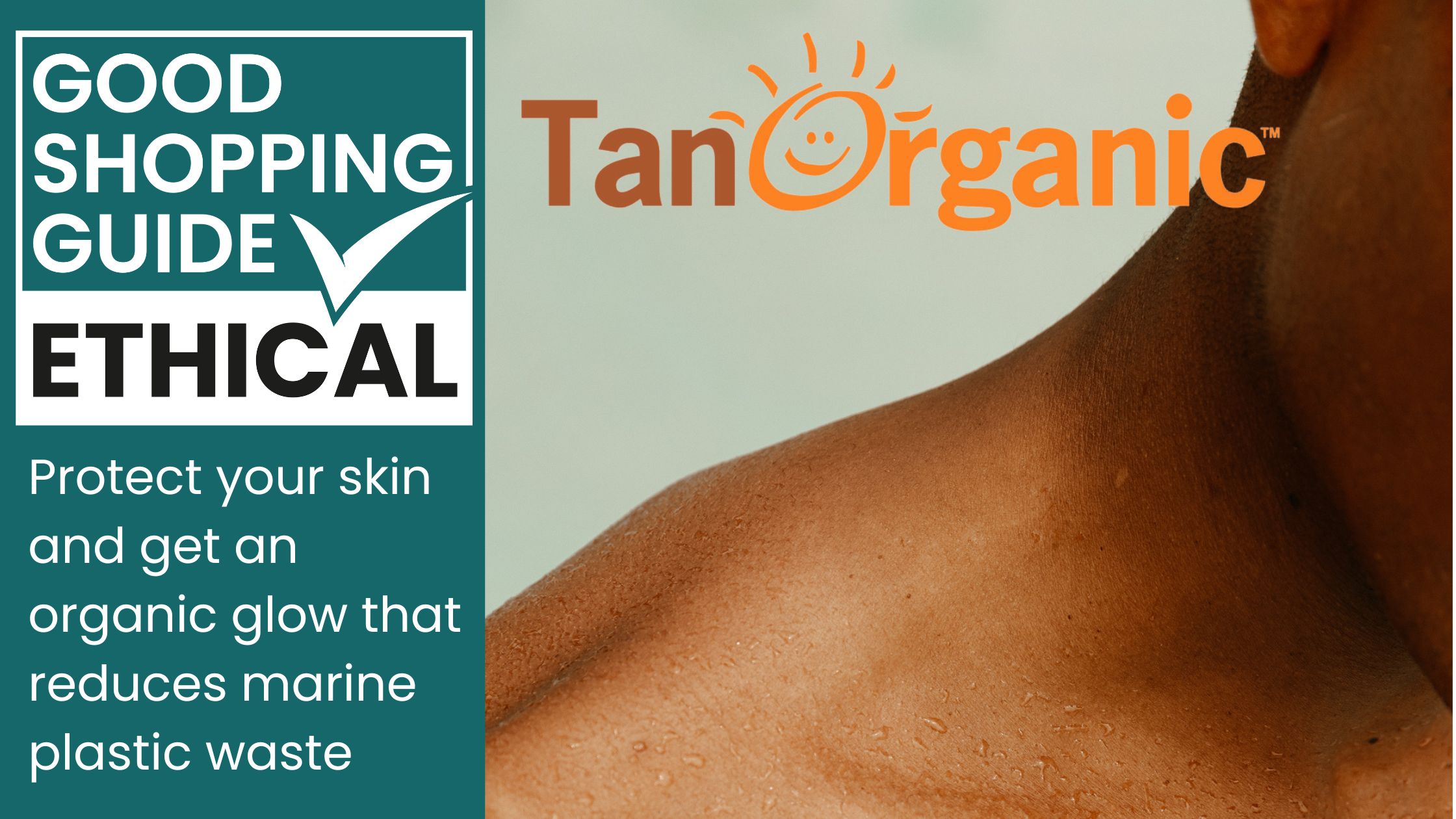 tan organic blog post banner for the good shopping guide