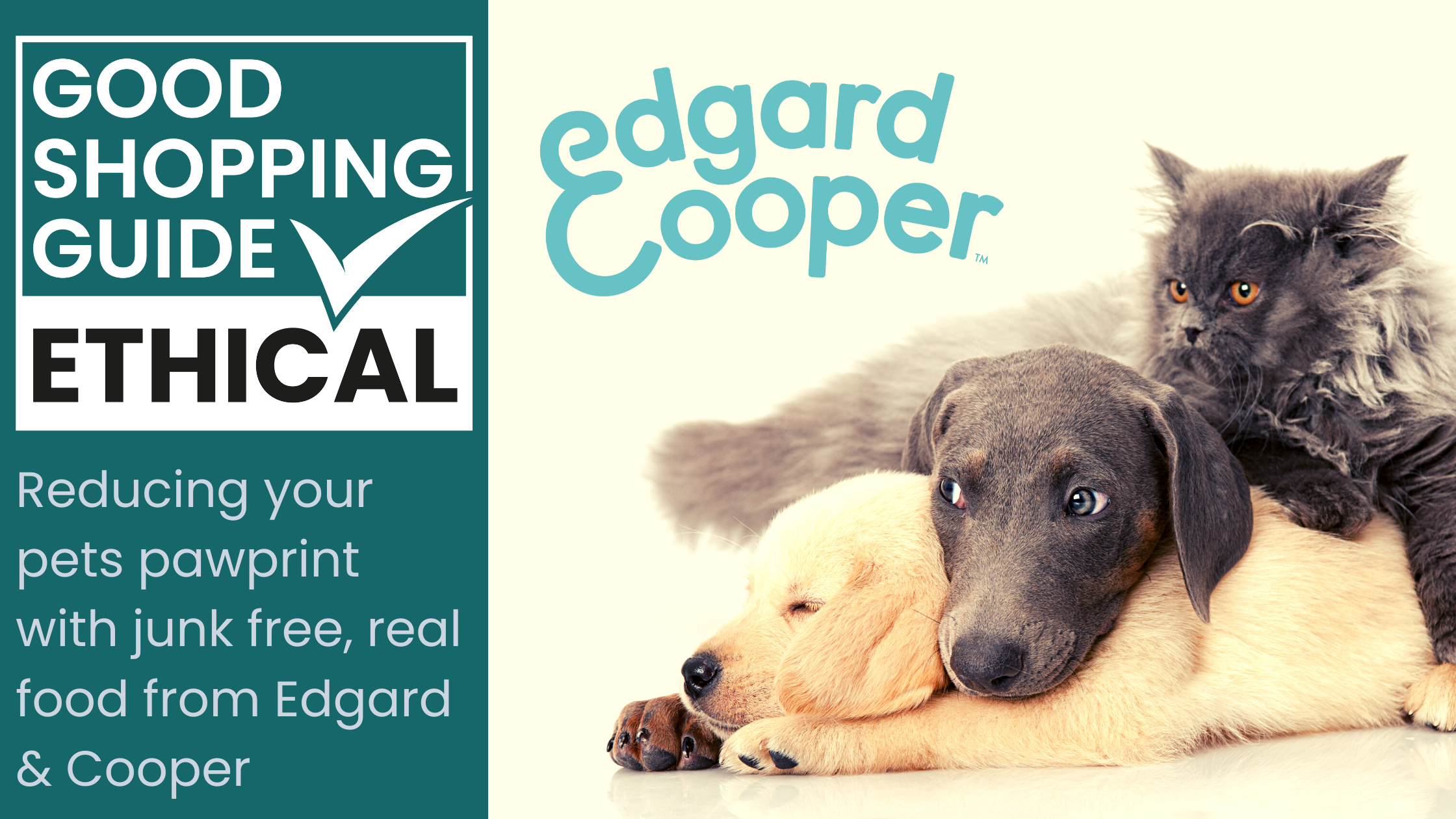 Edgard Cooper the ethical pet food brand on a mission to