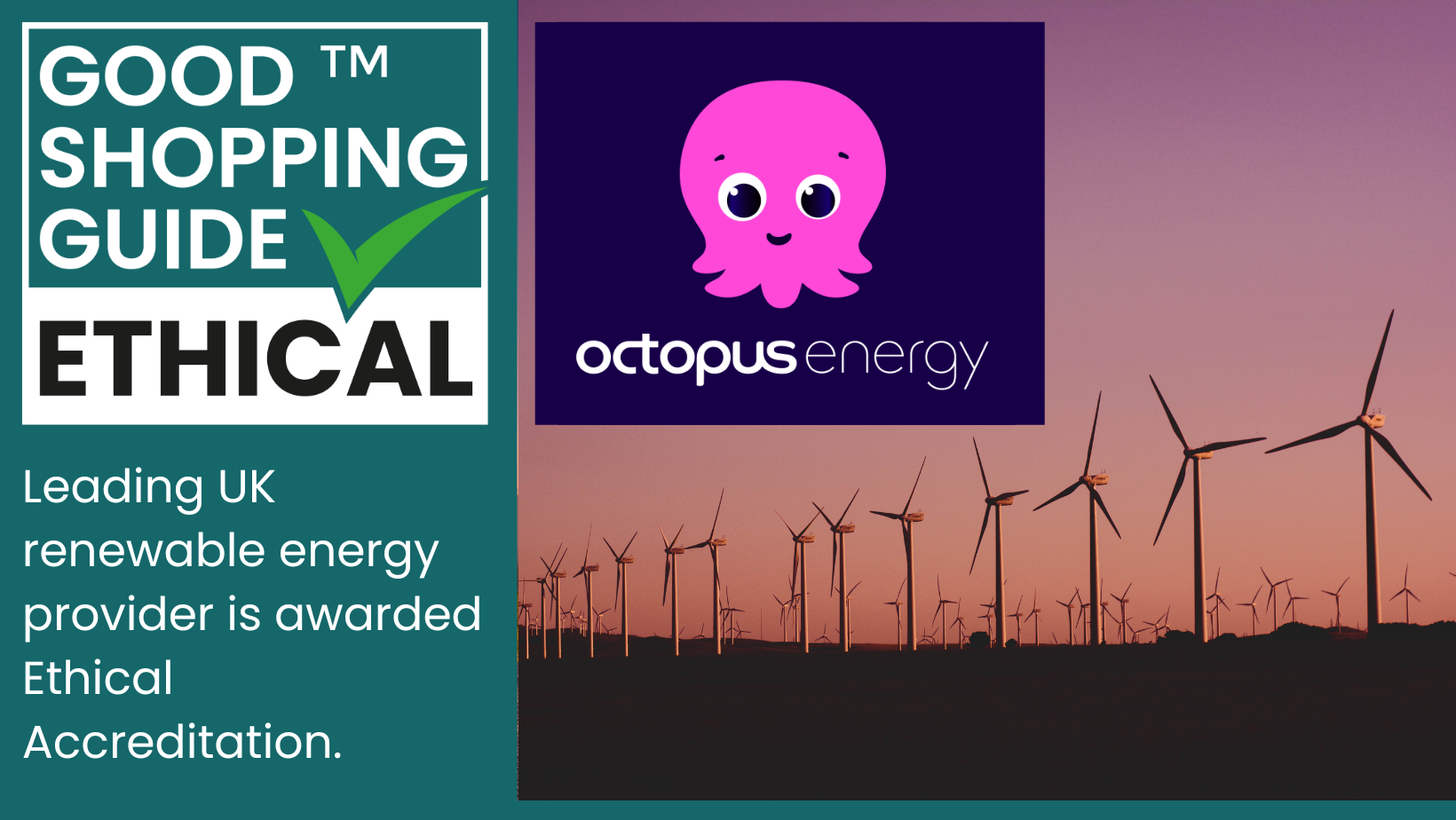 Octopus Energy Review Any Good 2023 50 Free Nuts 40 OFF