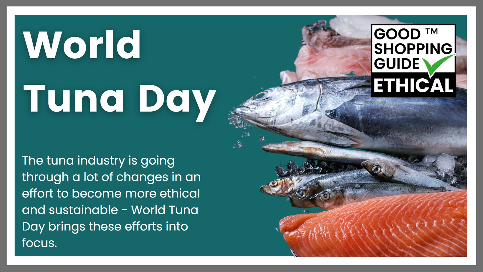 It's World Tuna Day! The UN event aims to promote sustainable management of  tuna populations and ethical fishing methods. - The Good Shopping Guide