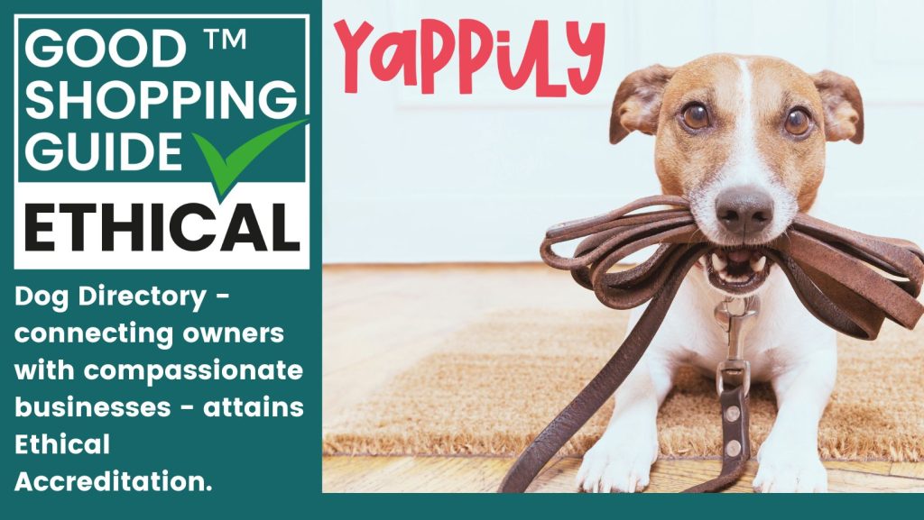Yappily ‘fetches’ Ethical Accreditation!