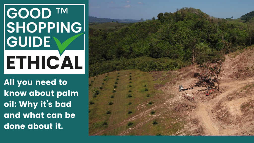 All you need to know about palm oil