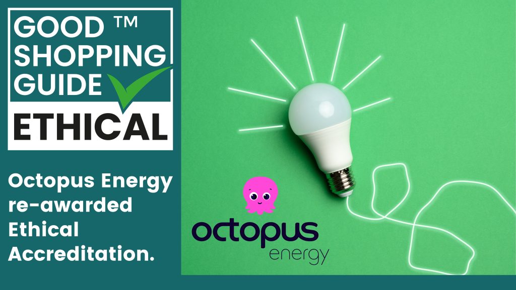 Octopus: Energy of the Future