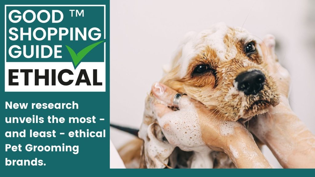 New Research: Discover the Top Ethical Pet Grooming Brands