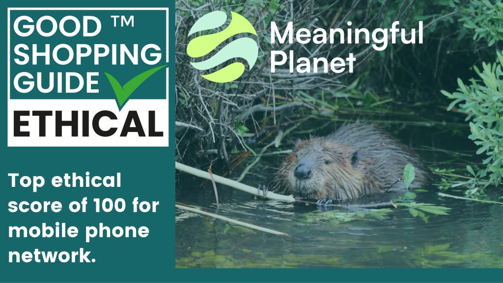 Meaningful Planet: Ethics as Standard
